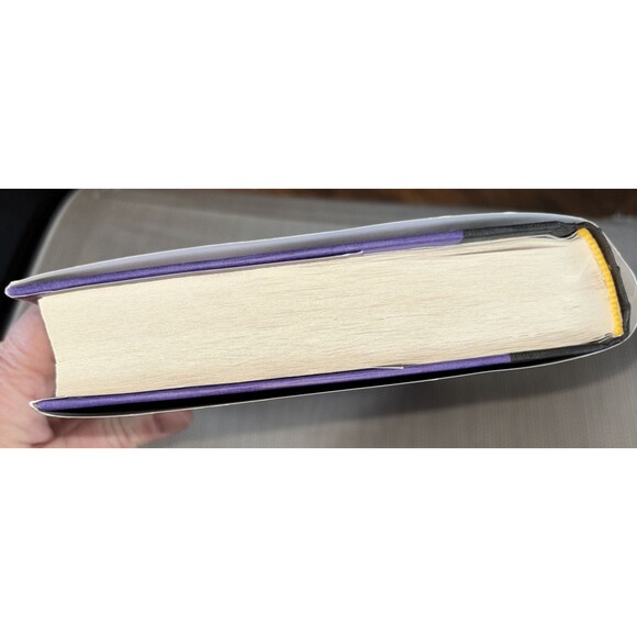 The Hurricane Wars by Thea Guanzon (Hardcover)Preowned Great Condition Fantasy - Picture 5 of 10